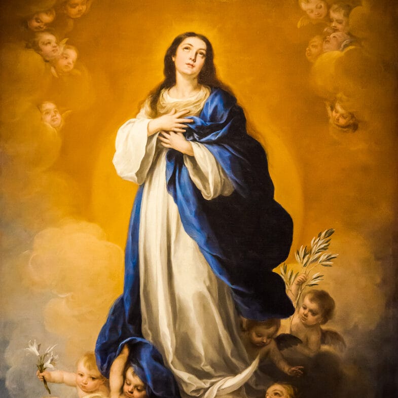 IC BVM