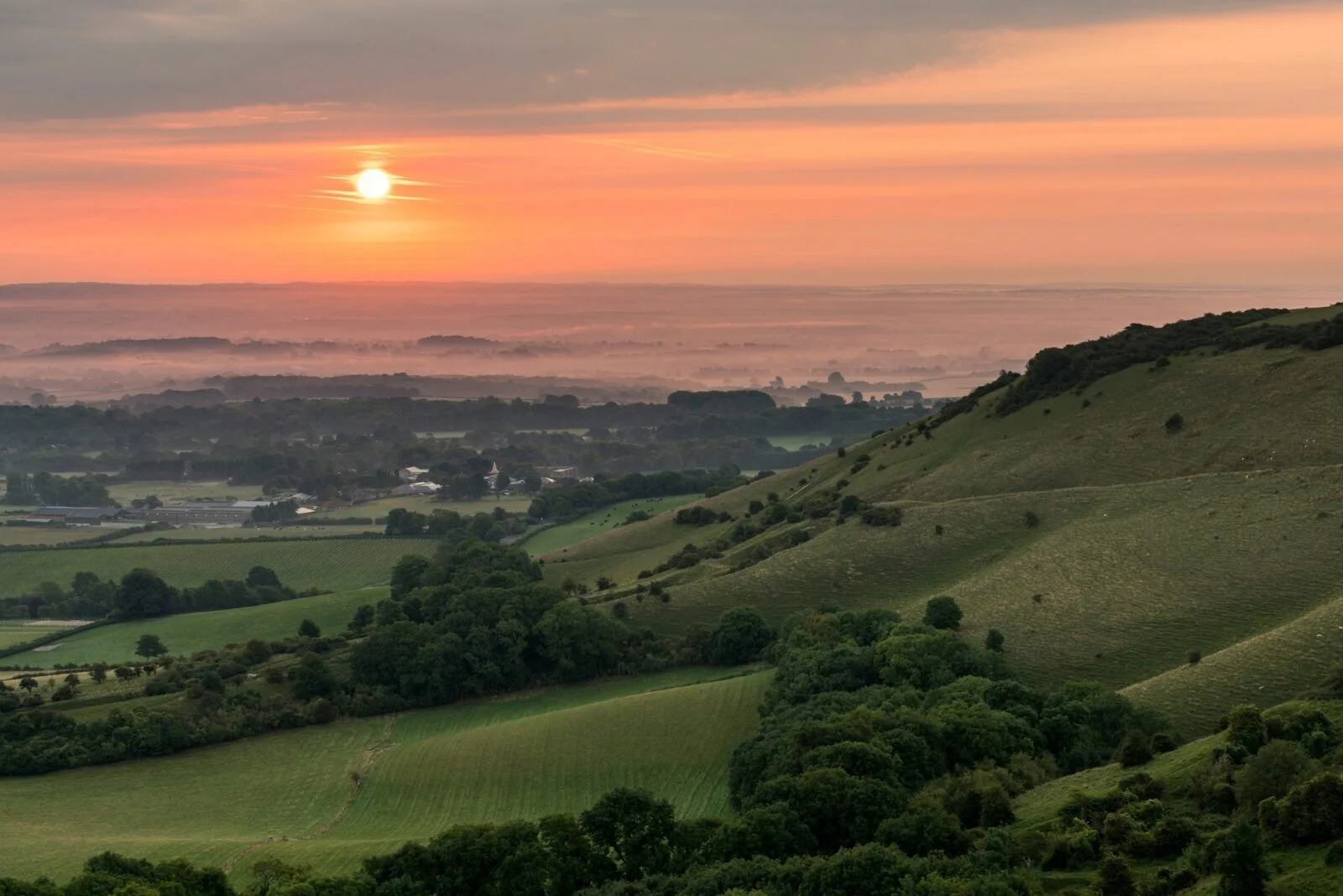 The Beacon