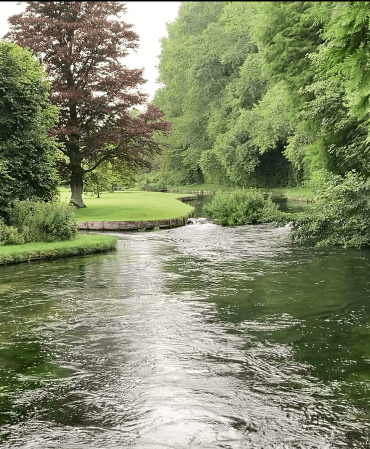 Picture of a river